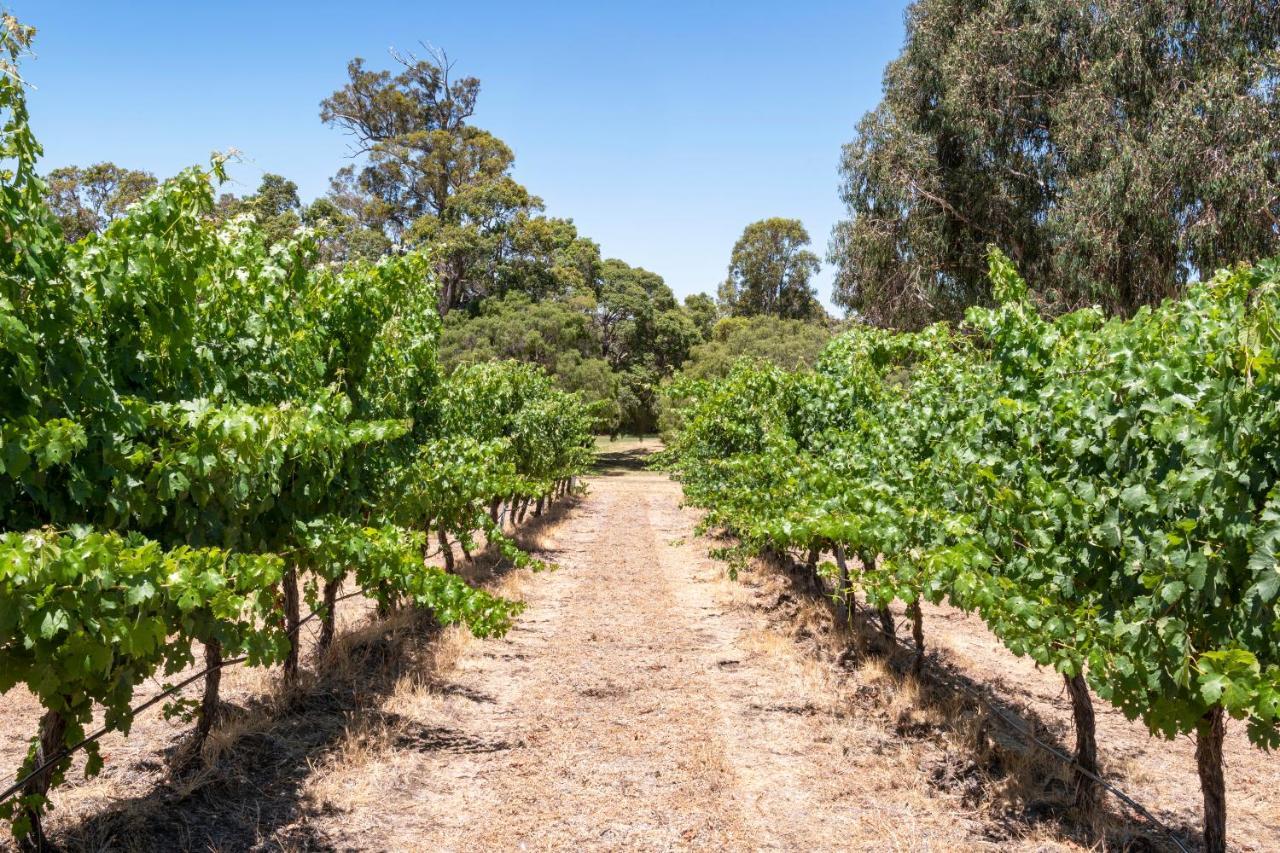 Yelverton Island Brook Estate Vineyard And Chalets מראה חיצוני תמונה